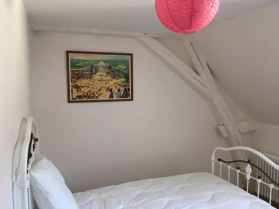 Grande Maison #6 Chambres #Proche Amboise/Tours Mosnes Luaran gambar