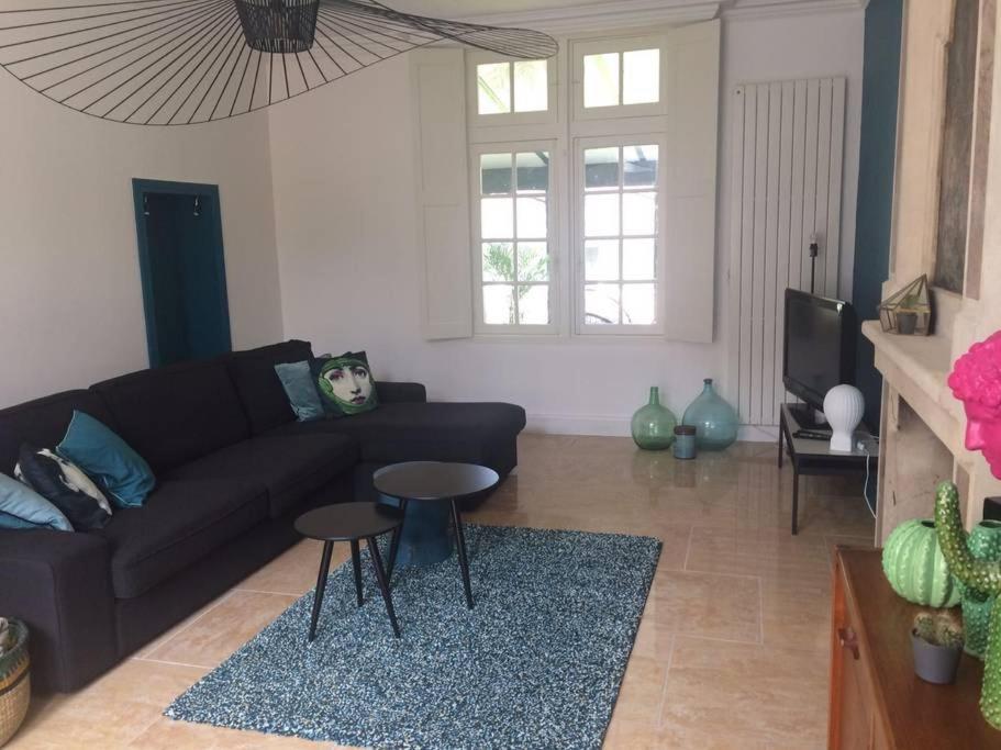 Grande Maison #6 Chambres #Proche Amboise/Tours Mosnes Luaran gambar